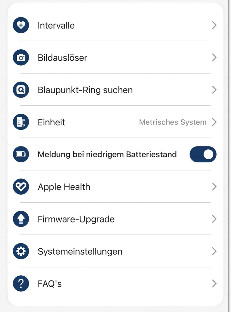 _blaupunkt_ring_pro_bild_1734351070.jpg