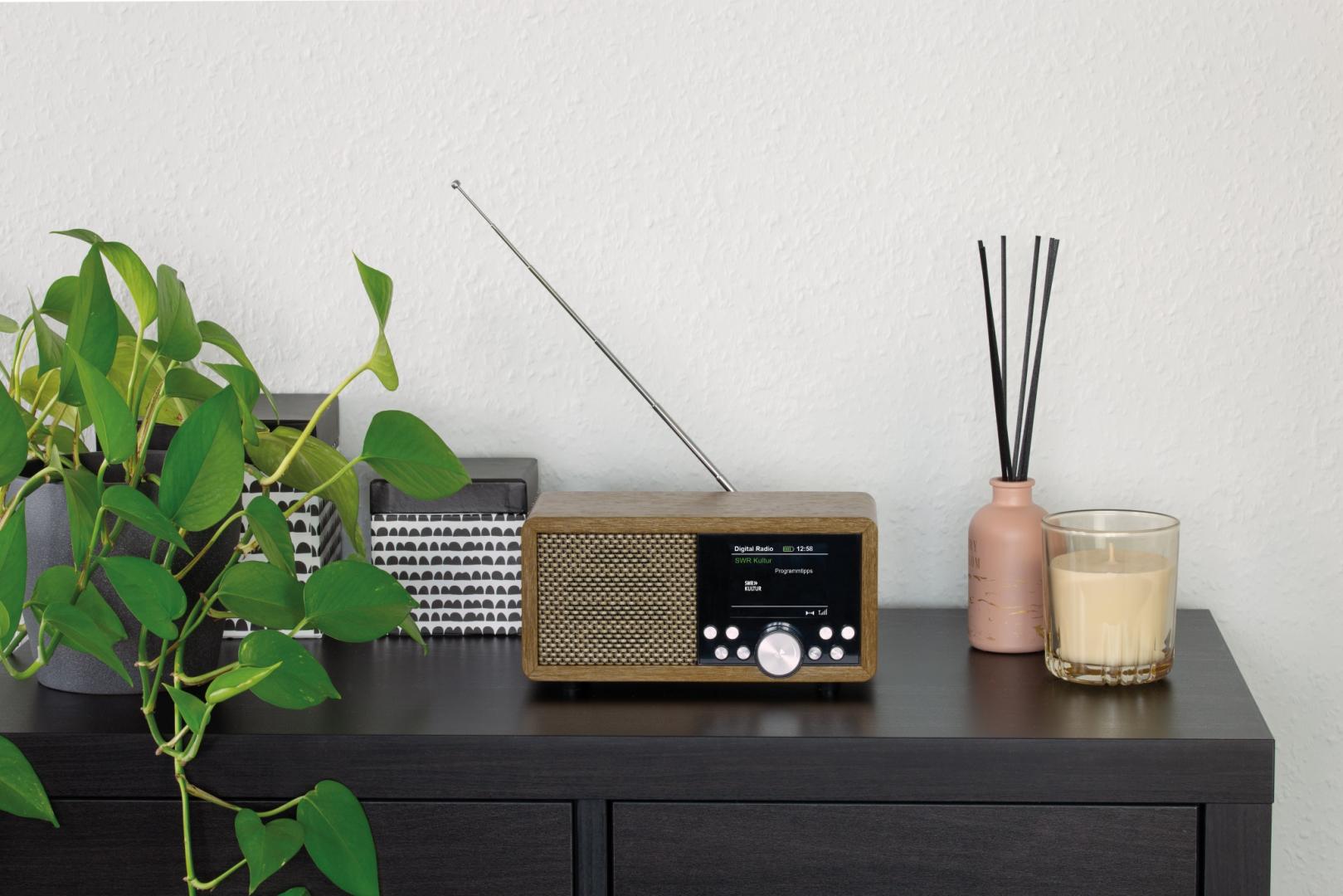 DAB+ Radios Dynavox DBT600 im Test, Bild 