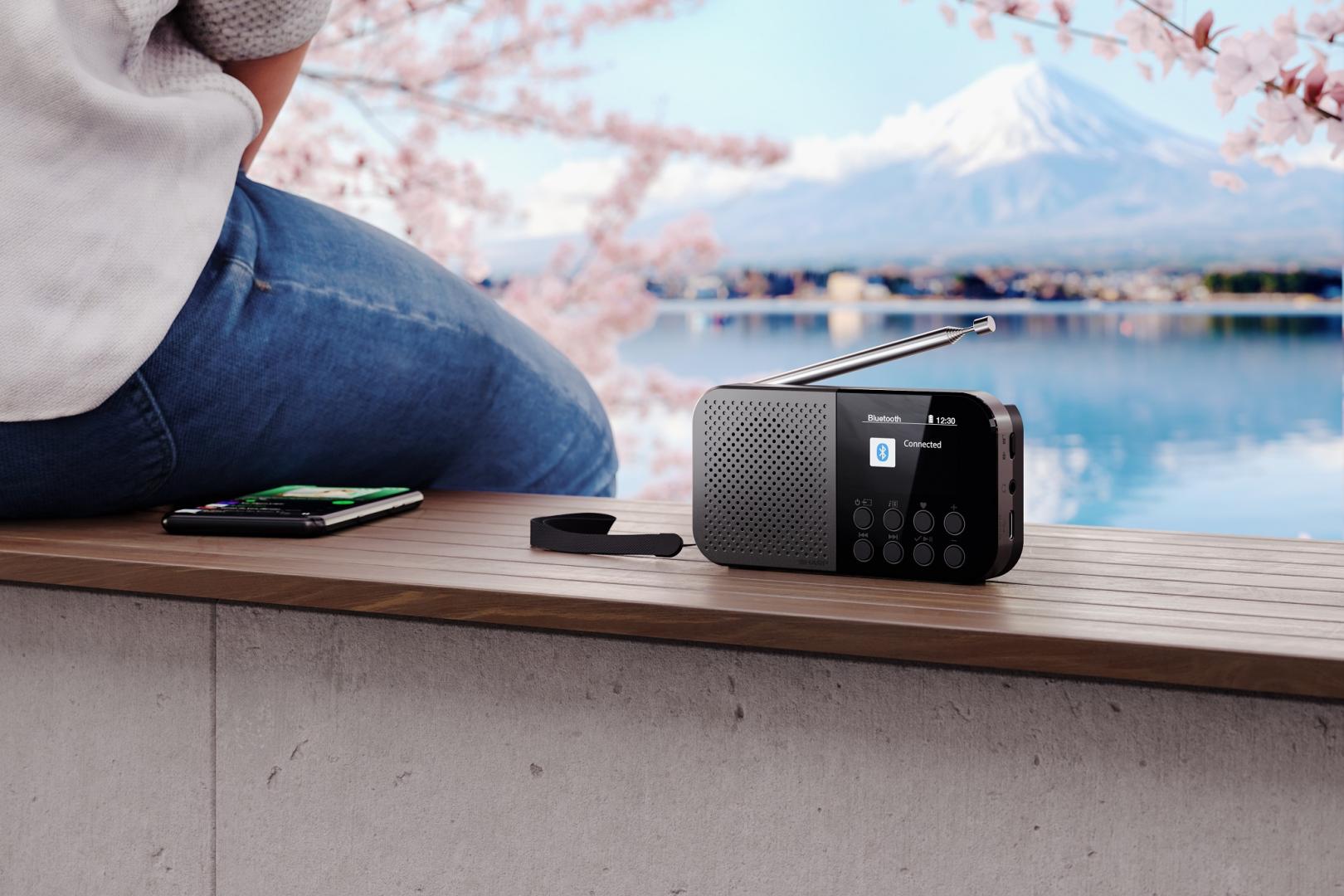 DAB+ Radios Sharp DR-P520 im Test, Bild 