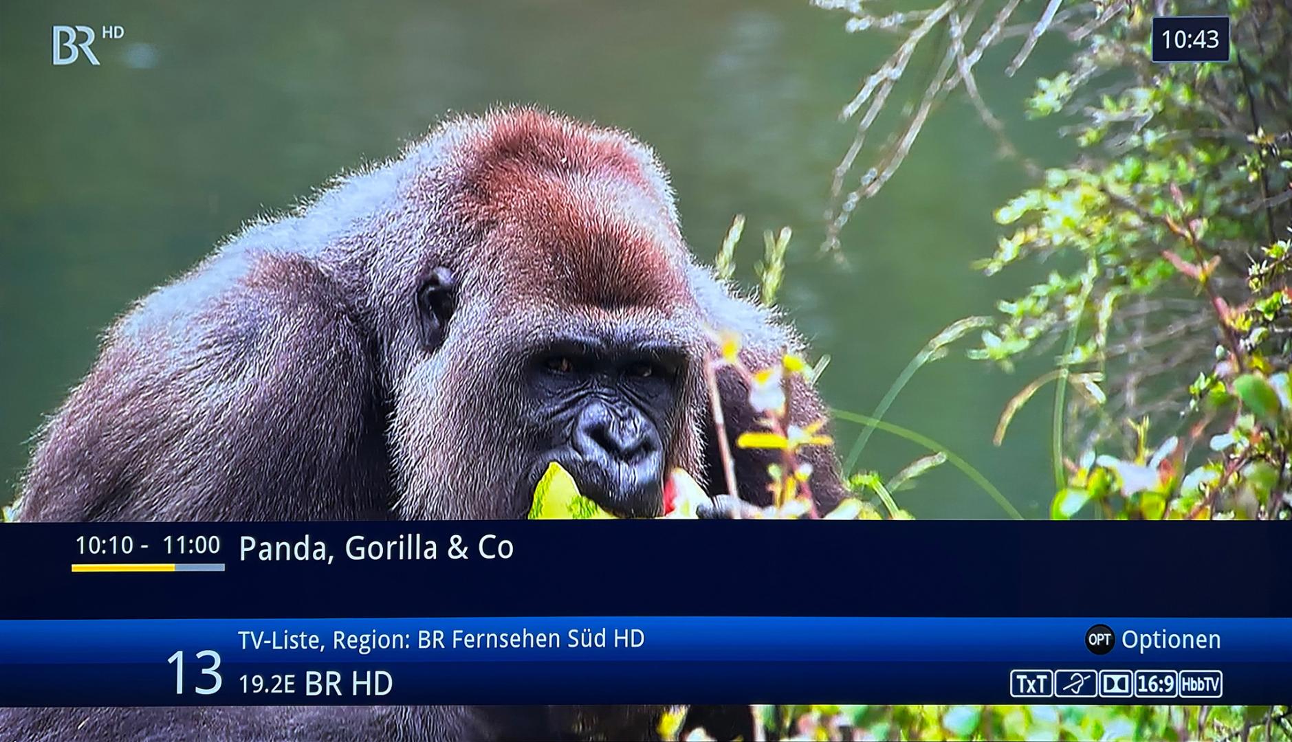 Service ARD und ZDF nur noch in HD - News, Bild 